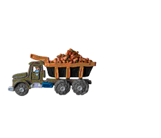 Camion